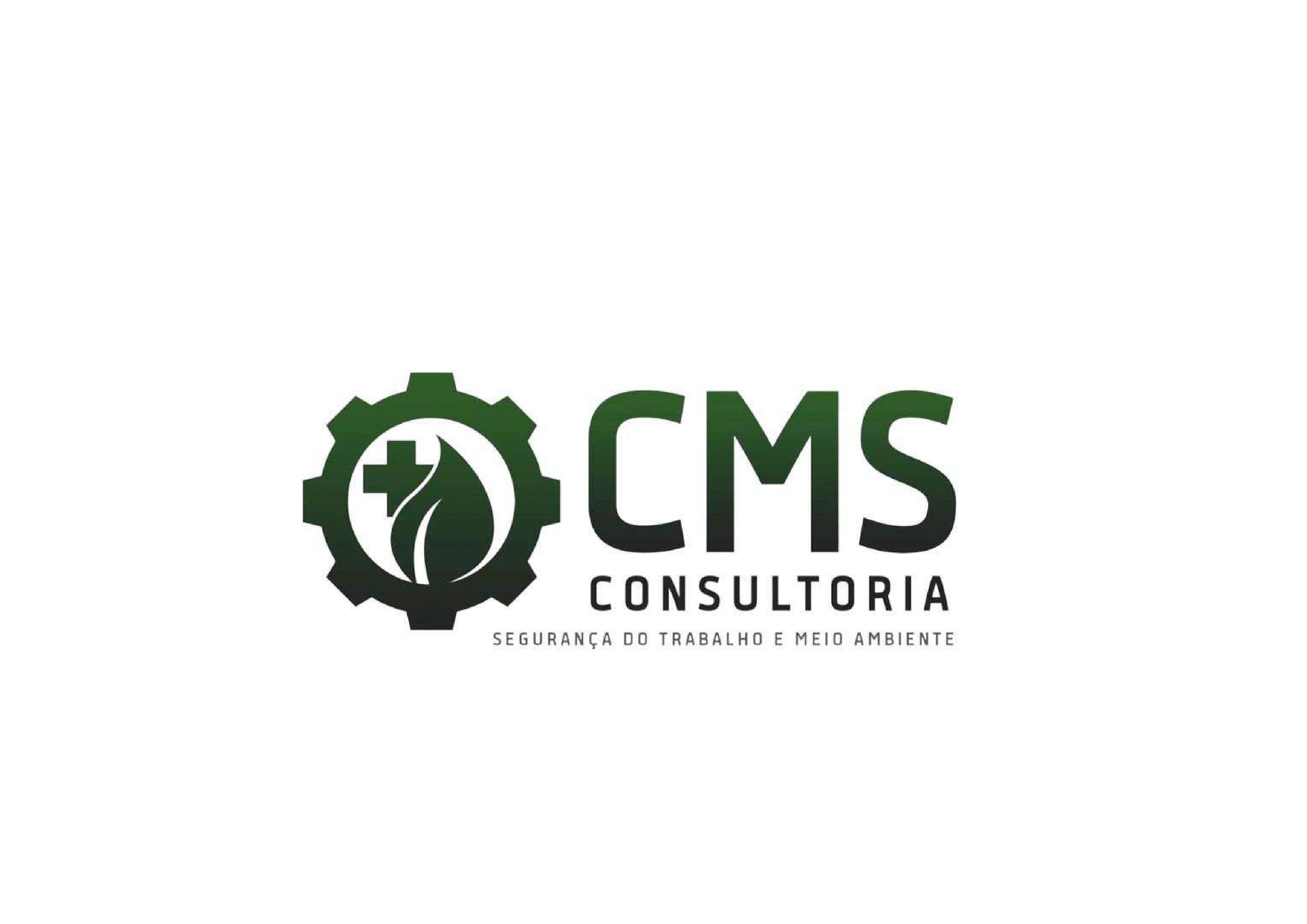 CMS Consultoria